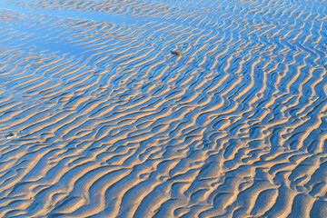 Wind tracks at the beach