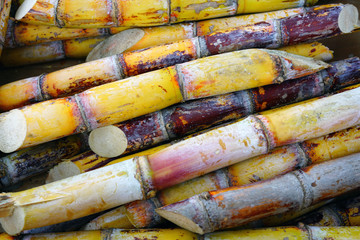 Sticks of fresh sugar cane at a market in Hawaii