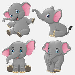 Cartoon funny elephants collection set
