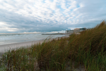 Fototapeta na wymiar Landscape of Beach with Ocean and Hotels in background with Dune Grass in Foreground