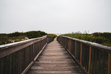 Fototapeta premium Wooden Beach Walkway with Plants Surrounding at Wildwood New Jersey Vacation Destination.