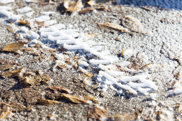dry leaves, autumn season. Icy weather