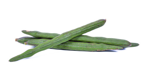 Moringa isolated on a white background