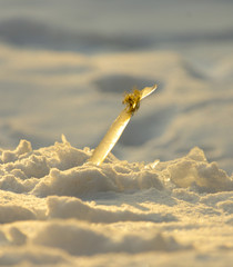 the icicle fell into the snow