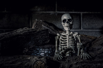 Fototapeta na wymiar Halloween Skeleton in Fireplace with Burnt Logs