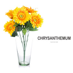 Creative layout made of Chrysanthemum flower