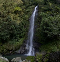 Fototapeta na wymiar 高知県の「大樽の滝」