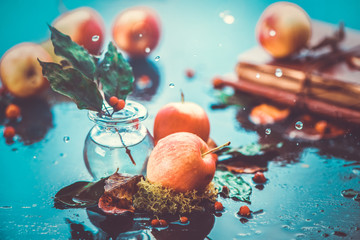 Fototapeta na wymiar Autumn apples under rain still life. Fall harvest header with water drops and copy space. Red small ranet apples and fallen leaves. Cross process effect