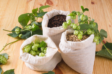Cones of hops and pale caramel, chocolate malt in bags on  wooden background. top view, closeup. Ingredient in beer industry. Craft beer brewing