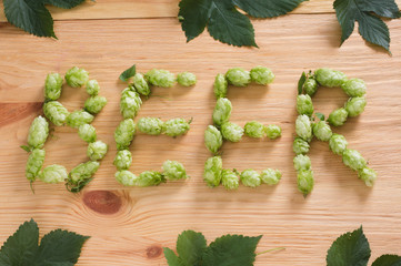 The inscription beer with hop cones on wooden background with leaves. Ingredient in beer industry....