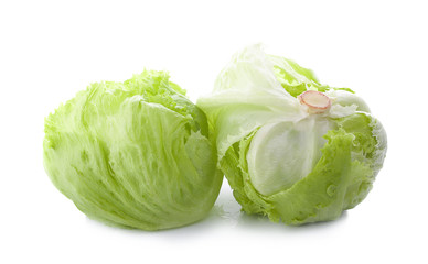 Green Iceberg lettuce on White Background