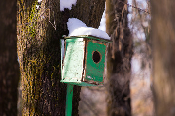 Wooden birdhouse hanging on a tree
