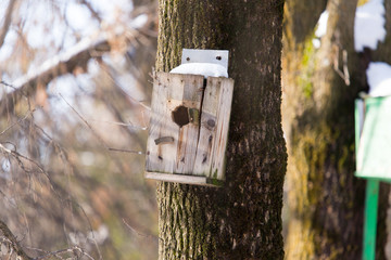 Wooden birdhouse hanging on a tree