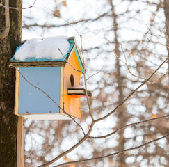 Wooden birdhouse hanging on a tree