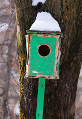 Wooden birdhouse hanging on a tree
