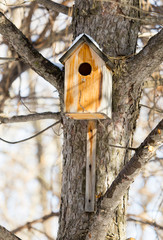 Wooden birdhouse hanging on a tree