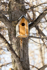 Wooden birdhouse hanging on a tree