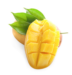 Mango leaf isolated on white background