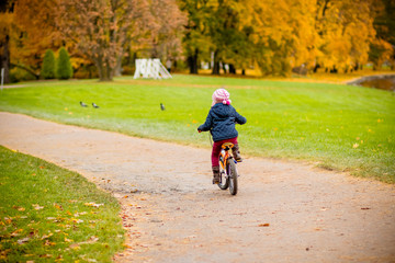 Fototapeta premium Back view of Little girl riding a bicycle in the park on the road covered with autumn oak and maple trees.Healthy lifestyle concept.kids sport