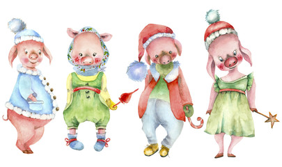 Cute piglet collection