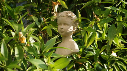 Frau.