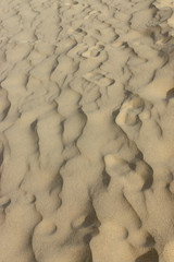 Sand background texture.