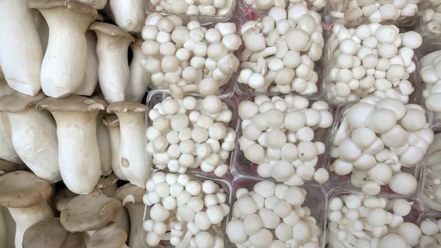 Fresh origin, courgettes and agaricus mushrooms on a local market in Thailand. Panning shot
