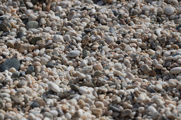 Pebbles on a beach in Maronia, Rodopi, Greece