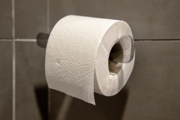 Toilet paper roll