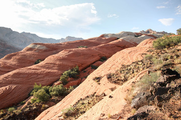 snow canyon