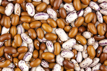 Haricot bean close background with high resolution