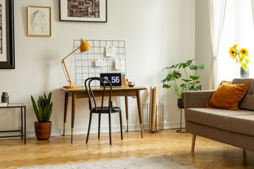 Plant next to chair and desk with lamp and laptop in flat interior with couch. Real photo