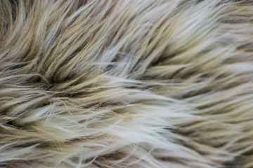 Background of a white dark red fur.