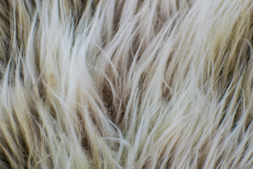 Background of a white dark red fur.