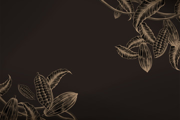 Cacao plant background