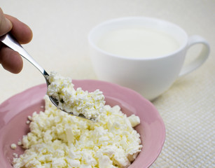 Cottage cheese and milk on a light background.