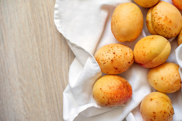 Apricots in human hands on light fabric