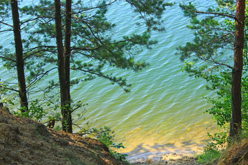 View to surface of forest lake with greenish water and sandy banks