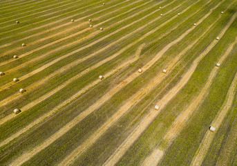 Aerial view of a green field with round haystacks. Wastes from agro-industry. Feed for livestock. Pattern
