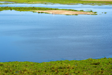 Savannah landscape with river in the National park of Kenya