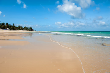 Summer beach and ocean