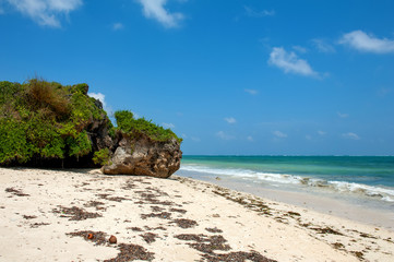 Fototapeta premium Beach and tropical ocean