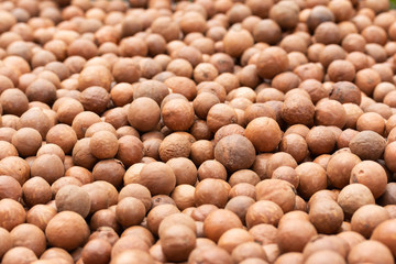 Macadamia fruit In the factory before packaging
