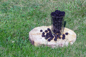 Blackberry harvest in glass