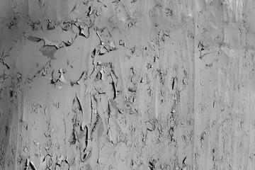 Grungy metal wall with peeling paint in black and white.