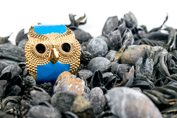 Dried Indian plants and a bracelet in the shape of an owl.