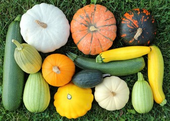 Squash and courgettes.
