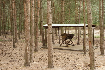 Futterstelle im Wald 