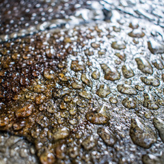 A drop of water on a stone that is varnished.