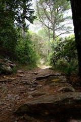 paysages du minervois